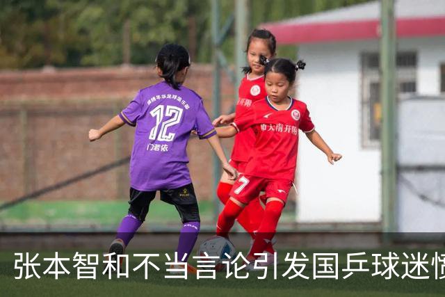 张本智和不当言论引发国乒球迷愤怒